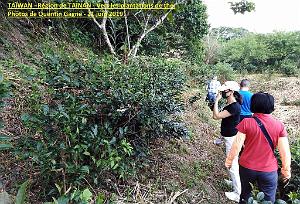 02 Taiwan- Region de Tainan 034